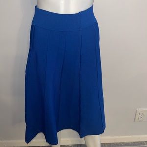 Women’s skirt size medium